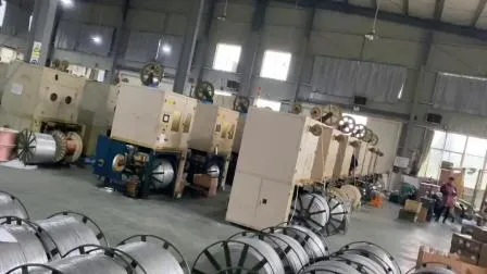 Cavo breakout in fibra Pigtail MTP 12 Om3 Cavi patch in fibra ottica multimodale Cavo ponticello